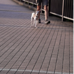 Langkah Kecil di Pagi Hari untuk Hari yang Lebih Ringan