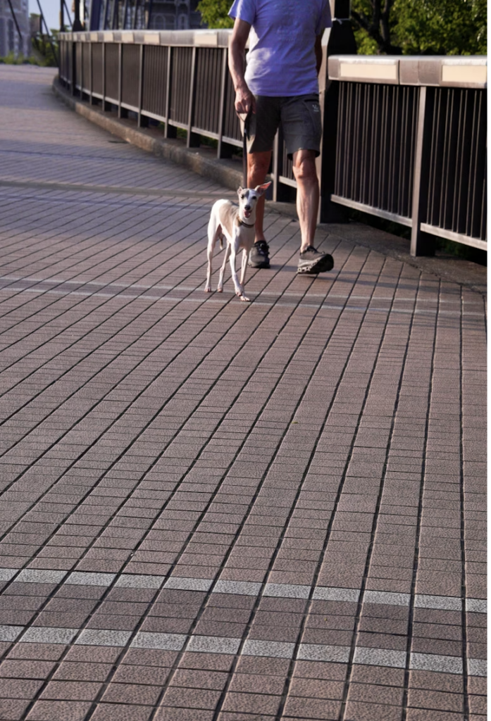 Langkah Kecil di Pagi Hari untuk Hari yang Lebih Ringan