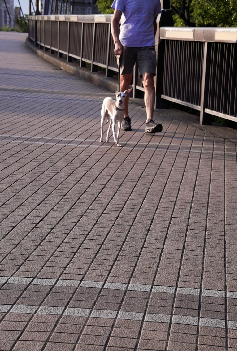 Langkah Kecil di Pagi Hari untuk Hari yang Lebih Ringan